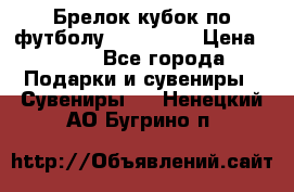 Брелок кубок по футболу Fifa 2018 › Цена ­ 399 - Все города Подарки и сувениры » Сувениры   . Ненецкий АО,Бугрино п.